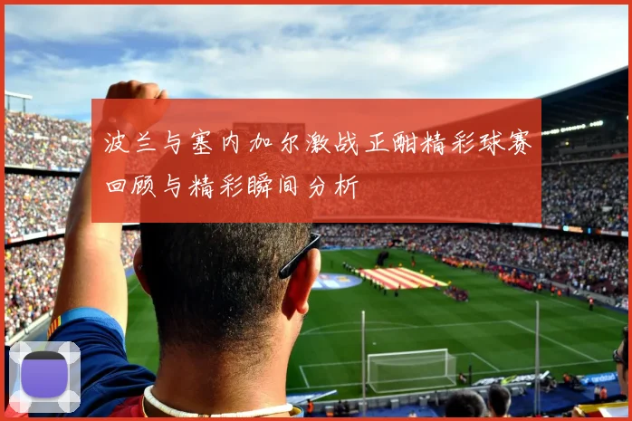 波兰与塞内加尔激战正酣精彩球赛回顾与精彩瞬间分析