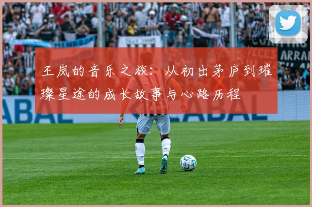 王岚的音乐之旅：从初出茅庐到璀璨星途的成长故事与心路历程